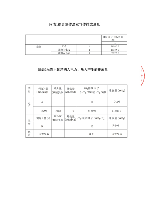 山东德源环氧科技有限公司温室气体排放报告2